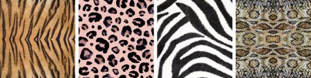 Design trend: animal prints